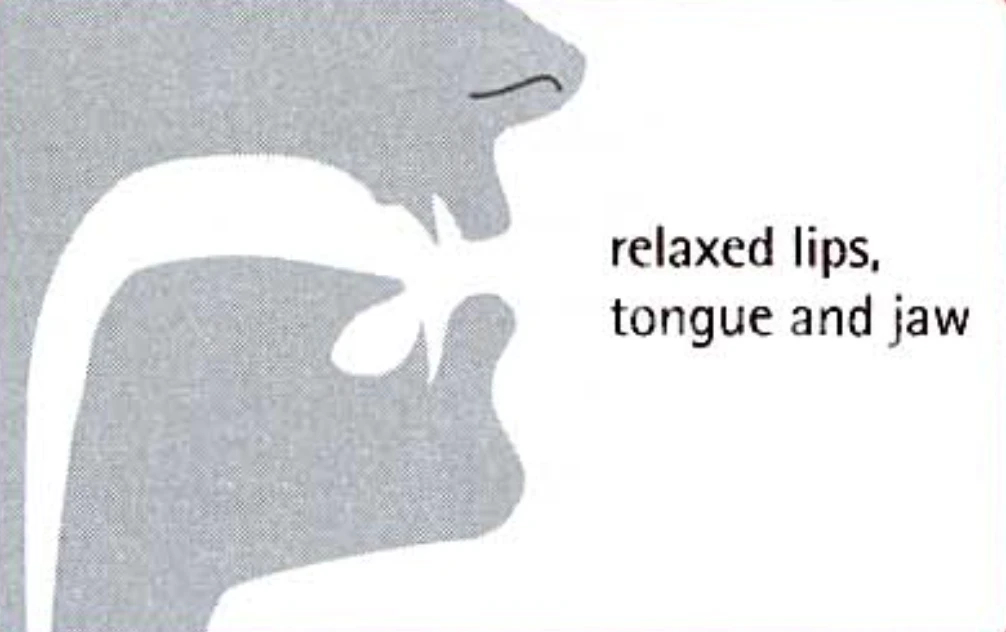 如何发音 ɜ